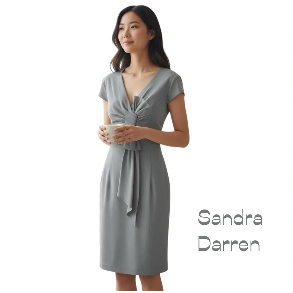 Sandra Darren Gray Bow Dress NWT Size 12
